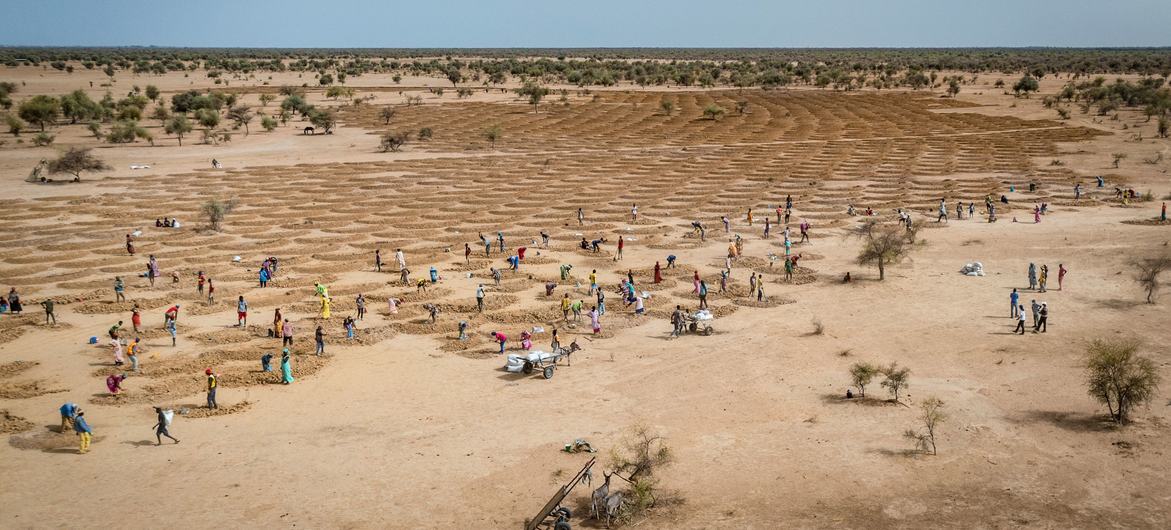 © WFP/Evelyn Fey | تعمل المجتمعات الزراعية في السنغال على استعادة الأراضي المتدهورة لمواجهة آثار تغير المناخ.
