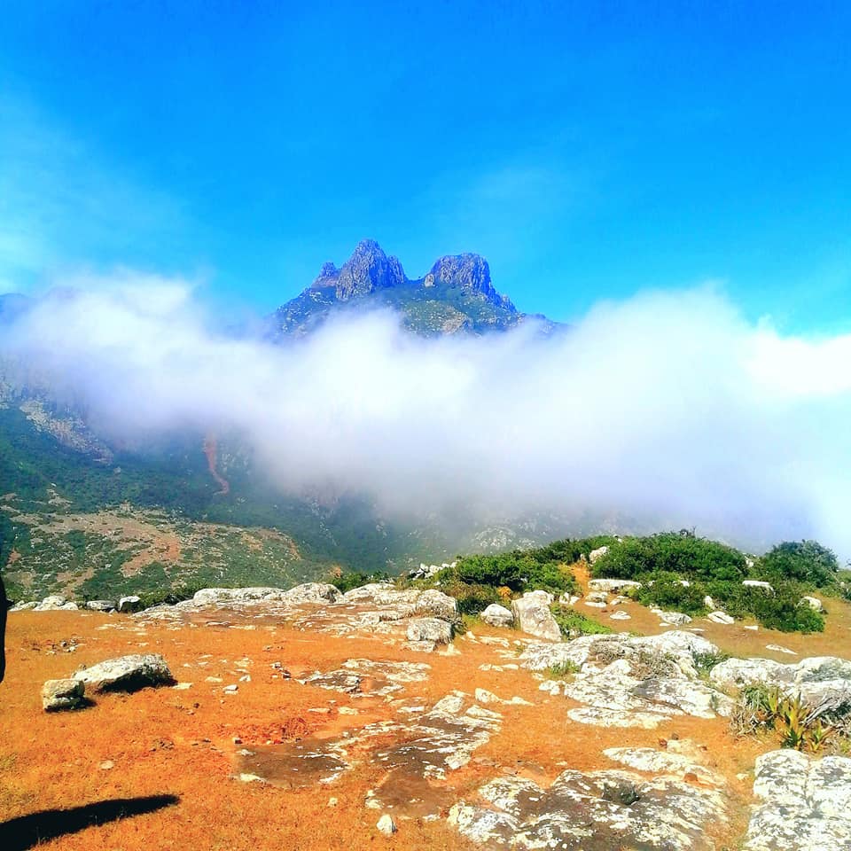 قمة جبل حجهر يبلغ ارتفاعها أكثر من 1500 مترا