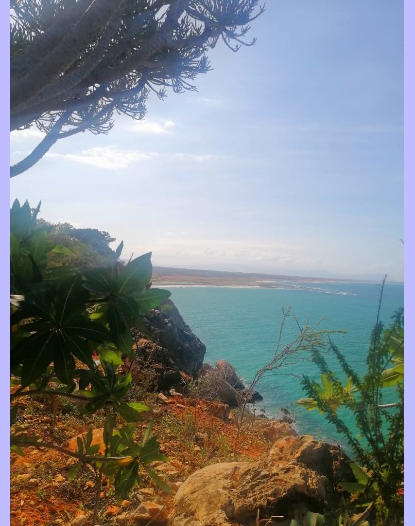 صورة بعيدة لشاطيء قاضب وموري