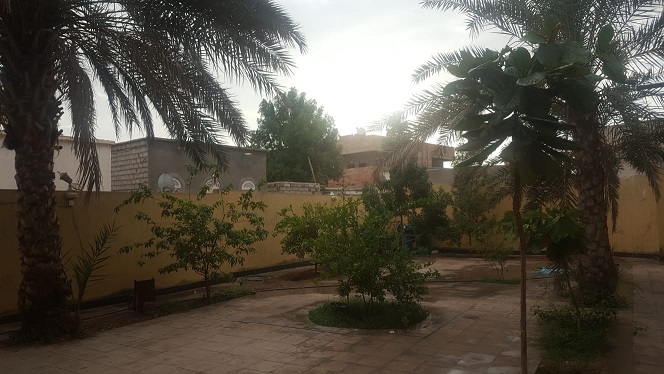 التحيتا الأشهر في تهامة بالزراعة فقدت خصوصيتها بفعل العدوان الحوثي