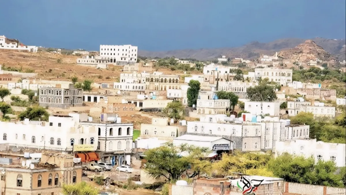 الضالع.. إحباط تهريب أكثر من ألف باكت أدوية محظورة في مديرية جبن