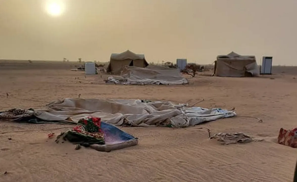 الجوف.. تضرر 1370 أسرة نازحة جراء عواصف المنخفض الجوي