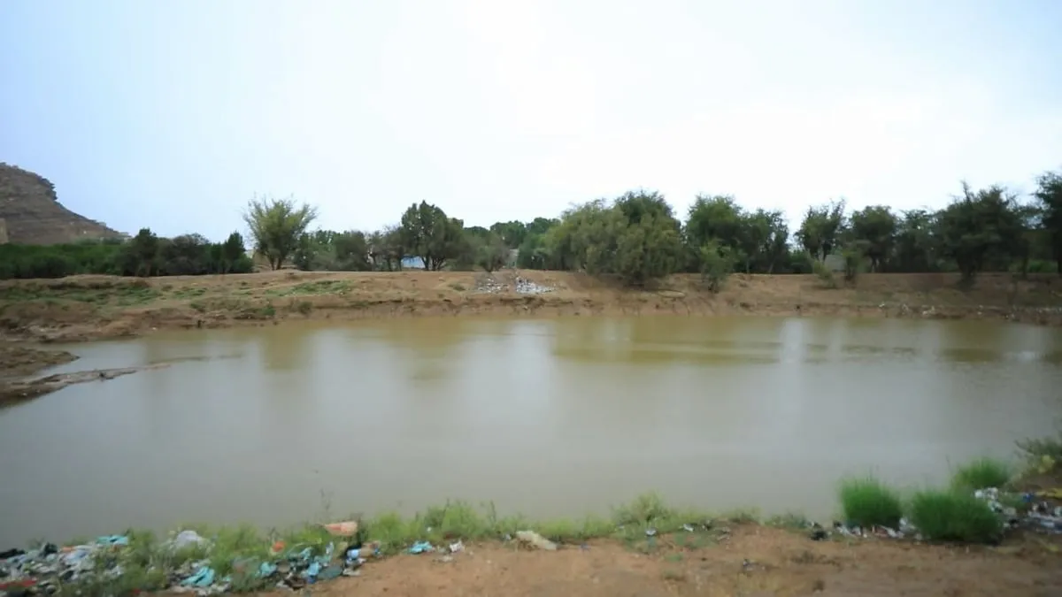 صعدة.. غرق ثلاثة أطفال في بركة مياه خلفتها السيول