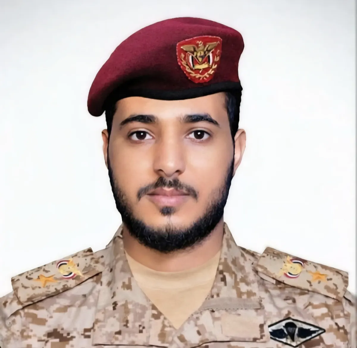 علاء العامري