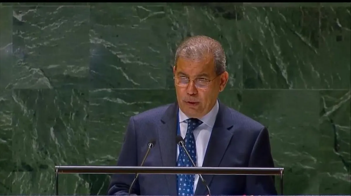 السعدي: هجمات الحوثيين في باب المندب جزء من أجندة إيرانية لابتزاز العالم