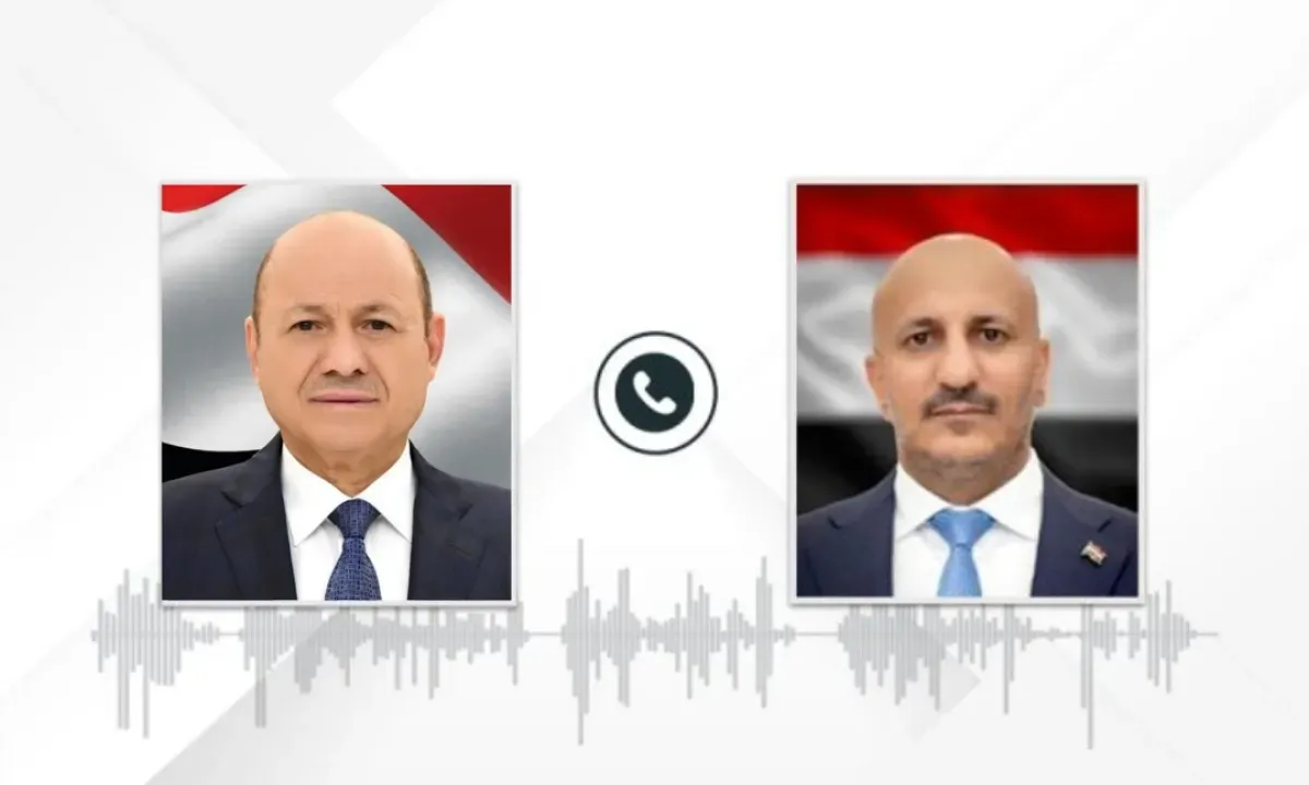 الفريق طارق صالح يعزي رئيس مجلس القيادة الرئاسي في وفاة الرئيس السابق المشير عبدربه منصور هادي