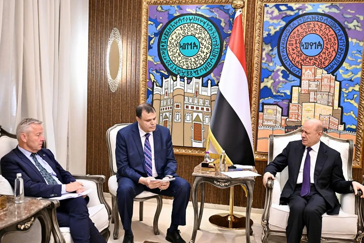 العليمي يدعو البرلمان الأوروبي إلى تشديد الضغوط على الحوثيين ومحاسبة قادتهم