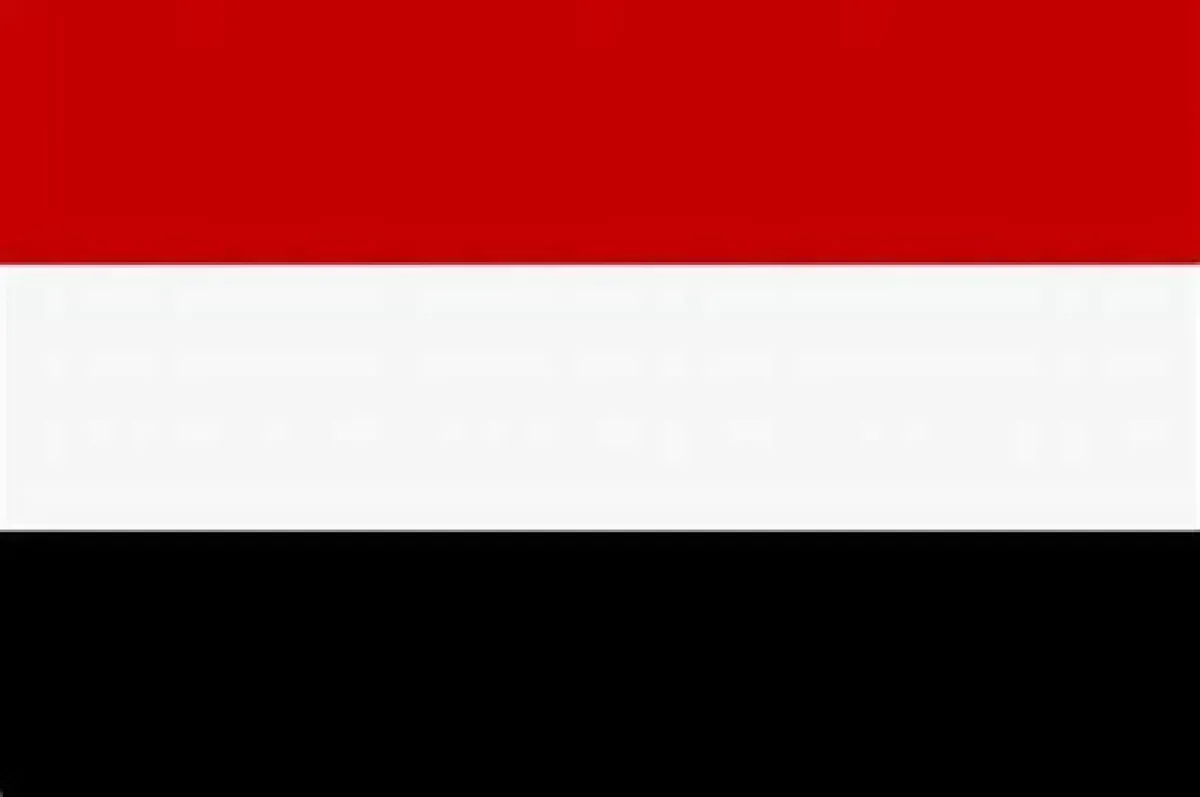 اليمن يدين إغراق السفينة الهندية ويشيد بإنقاذ طاقمها في البحر الأحمر