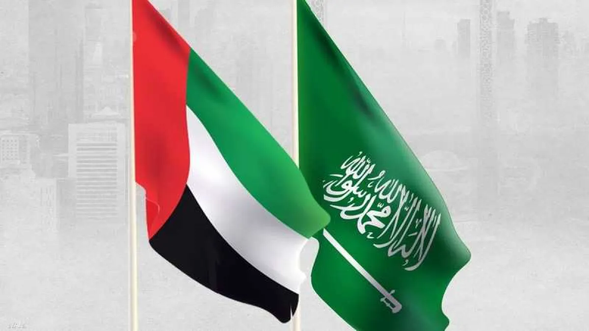 الإمارات تدين هجوم الحوثيين على نجران وتؤكد تضامنها الكامل مع السعودية