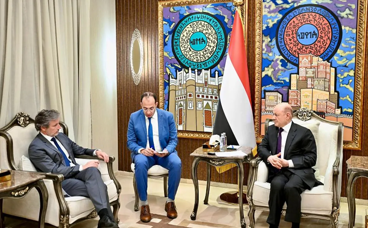 العليمي: أمن البحر الأحمر وباب المندب لا يضمنه الانتشار الدولي وحده.. واليمن بحاجة إلى دولة قوية
