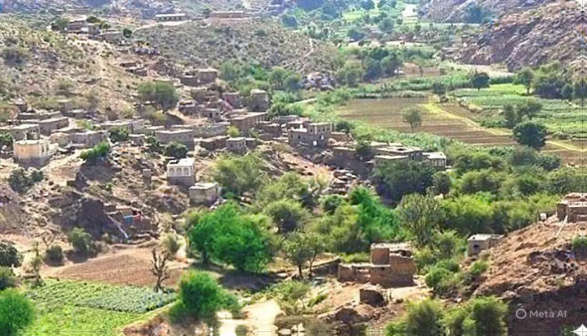 مليشيا الحوثي تقصف مقبرة ومسجداً في تورصة بالضالع