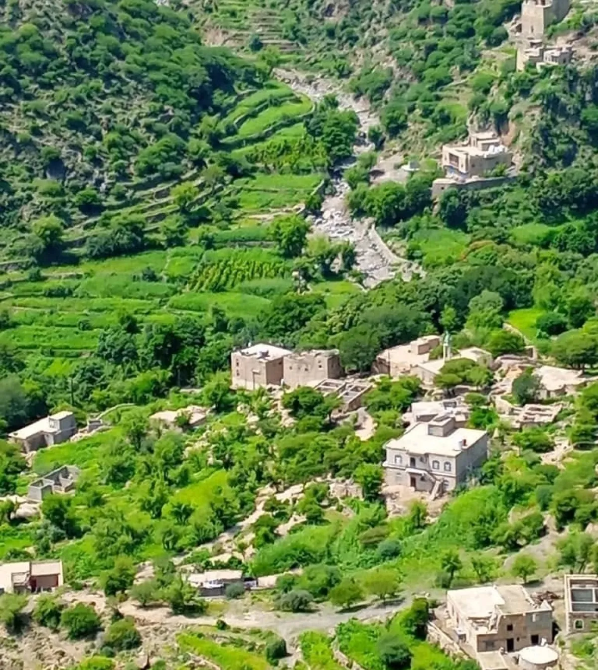 أجراس الحجرية.. عهد الدم ومساقط الرؤوس!