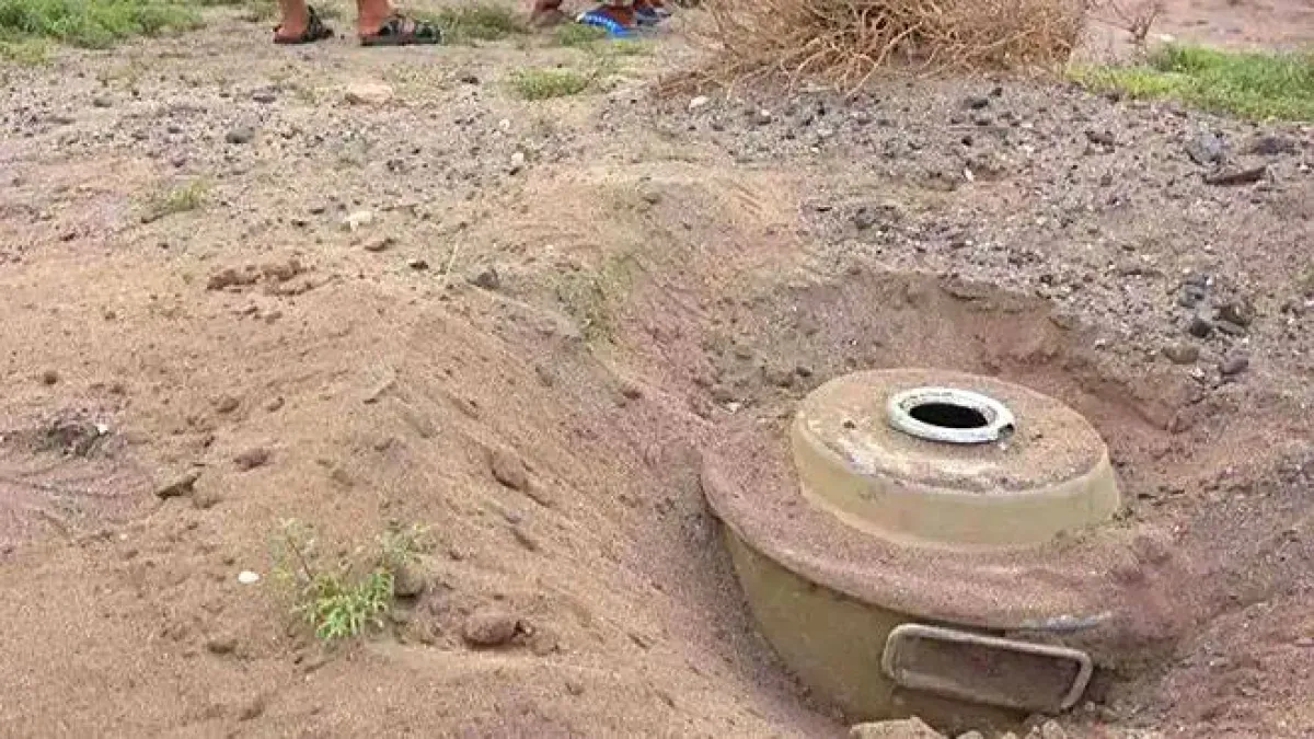 لغم حوثي يودي بحياة ثلاثة مدنيين أثناء رعي الأغنام في حيس بالحديدة