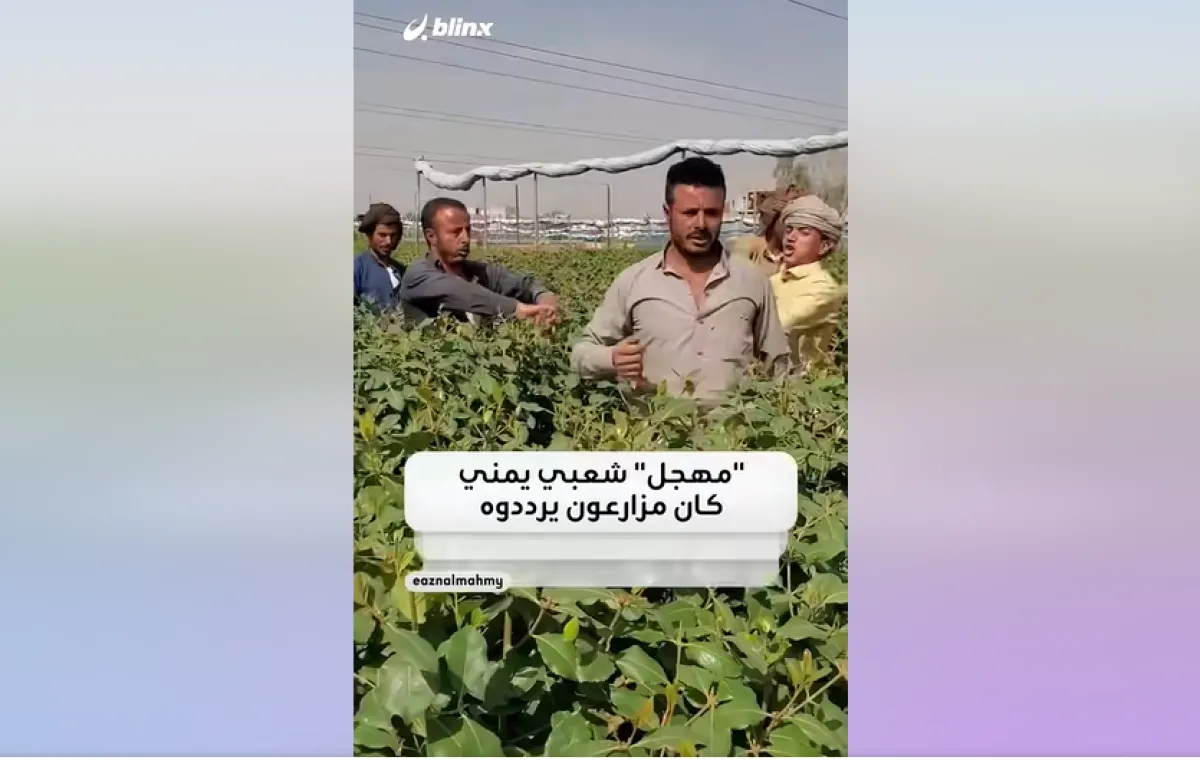 قصة ترند خرج من مطبخ استخبارات وليس من جربة قات: «فجر اليمن» على جبهة «دق دق 77»