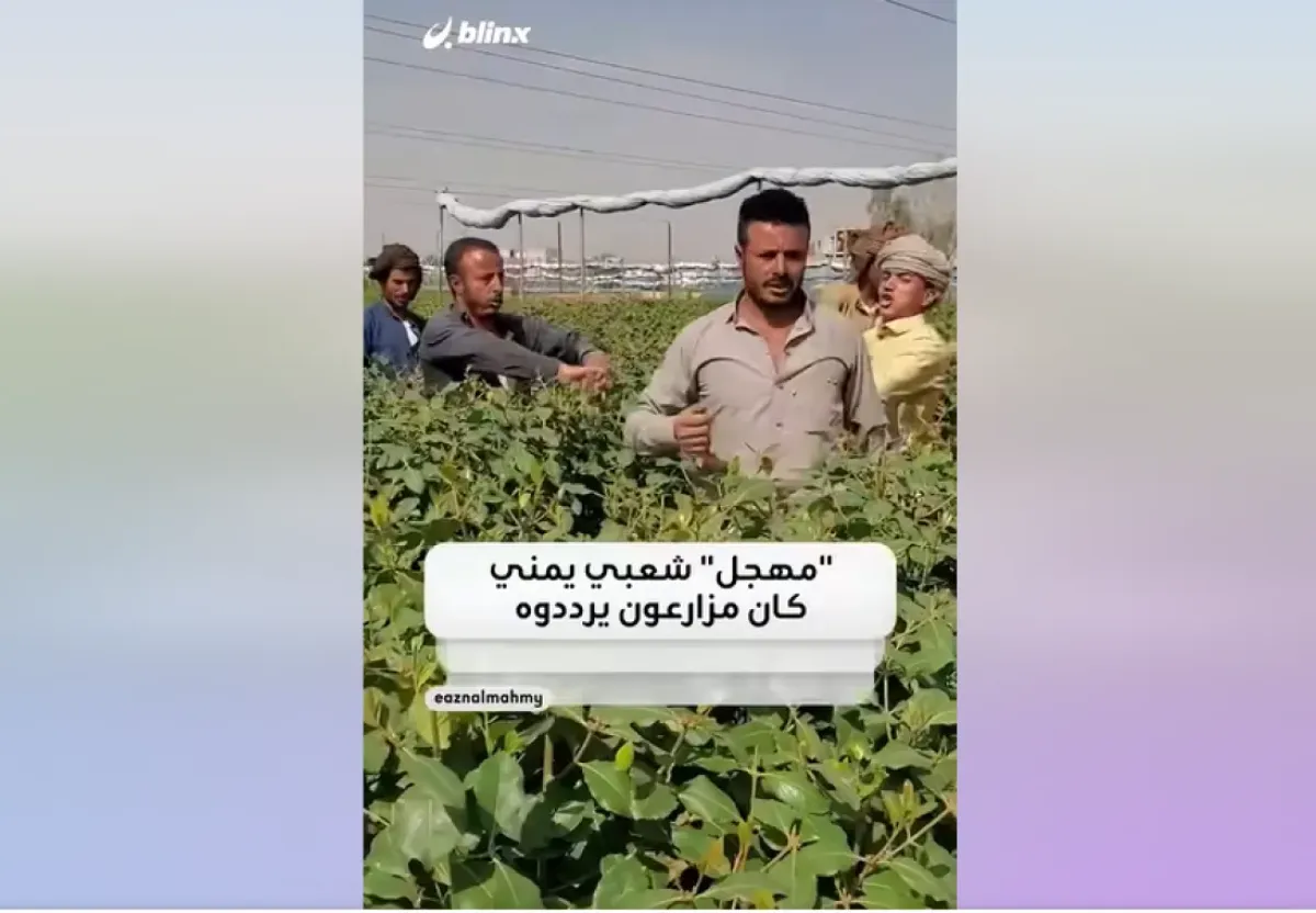 قصة ترند خرج من مطبخ استخبارات وليس من جربة قات: «فجر اليمن» على جبهة «دق دق 77»